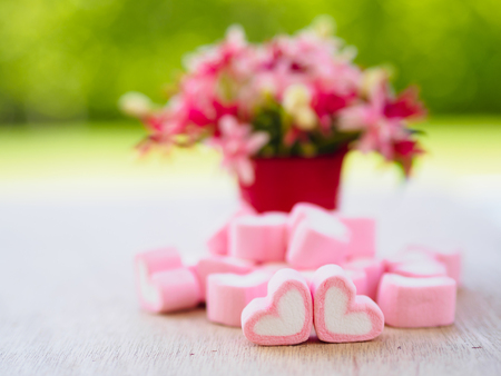 Closeup of sweet marshmallow in the shape of heart on wooden plate and flower at background. Concept about love and relationship. (Soft Style for Background)の写真素材