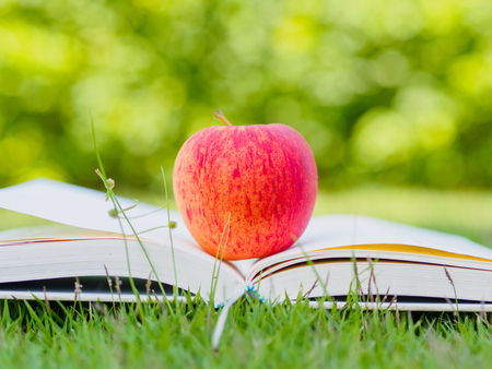 World Book Day concept. Red apple and pen put on open bookの写真素材