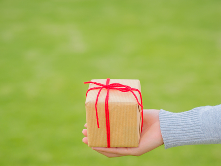 Hands holding beautiful gift box, female giving gift, Christmas holidays and greeting season concept, shallow dofの写真素材