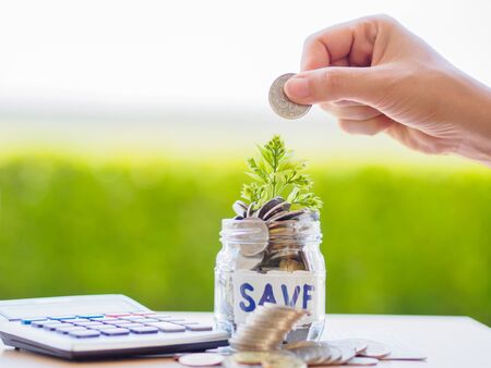 abstract money saving small baby tree with glass jar Coins with calculator on table with green tree backgroundの写真素材