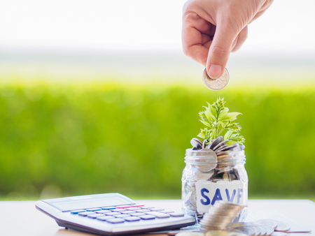 abstract money saving small baby tree with glass jar Coins with calculator on table with green tree backgroundの写真素材