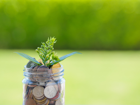 plant growing out of coins in glass jar on the green grass for money saving financial conceptの写真素材