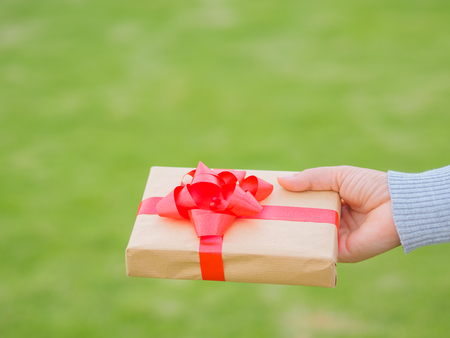 Hands holding beautiful gift box, female giving gift, Christmas holidays and greeting season concept, shallow dofの写真素材