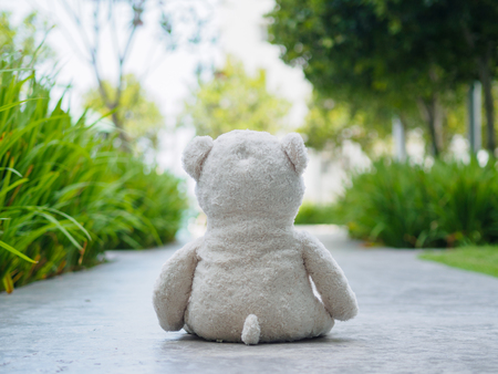 Lonely Teddy Bear Sitting on the walk way or road (Concept about love)の写真素材