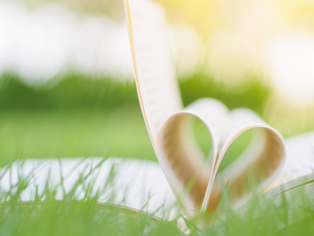 book on table in garden with top one opened and pages forming heart shapeの写真素材