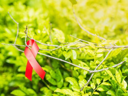 World AIDS day concept. Red ribbon hang on tree leaves bokeh background.の写真素材