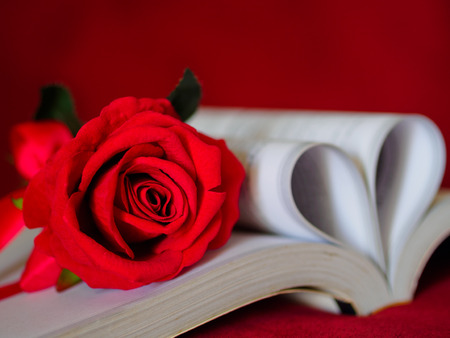 Retro style for red rose with  pages of a book curved into a heart shape. Love and Valentine's day concept.の写真素材