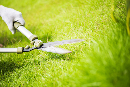 Hands holding the gardening scissors on green grass. Gardening concept background.の写真素材