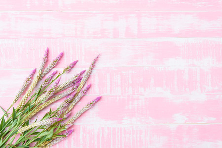 Flowers on a pastel bright pink wooden background. Spring and summer concept.の写真素材