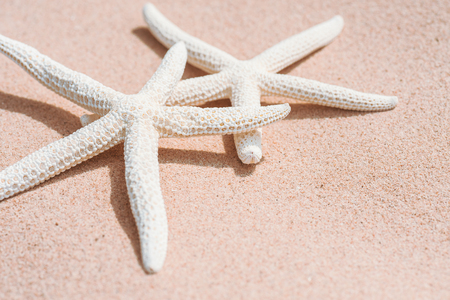 couple of beautiful starfish on Sandy beach background background for summer holiday and vacation concept.の写真素材