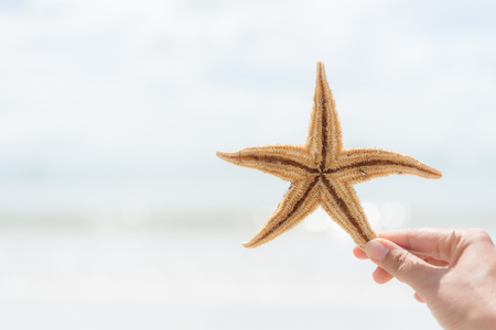 woman hand holding starfish over sea and Sandy beach in background for summer holiday and vacation concept.の写真素材
