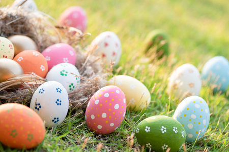 Happy easter!  Closeup Colorful Easter eggs in nest on green grass field during sunset background.の写真素材