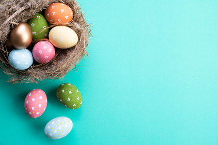 Happy easter! Colorful of Easter eggs in nest with flower and Feather on bright green pastel paper background.の写真素材