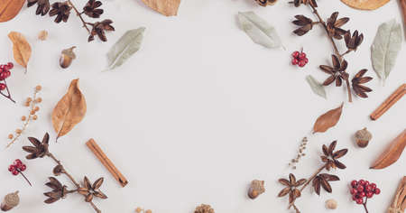 Autumn composition. blanket, autumn leaves on white background. Flat lay, top view copy space.の写真素材