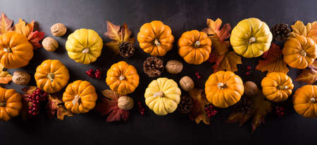 Autumn composition. Pumpkin, cotton flowers and autumn leaves on dark stone background. Flat lay, top view with copy spaceの写真素材