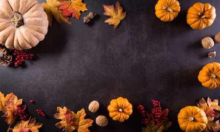 Autumn composition. Pumpkin, cotton flowers and autumn leaves on dark stone background. Flat lay, top view with copy spaceの写真素材