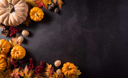 Autumn composition. Pumpkin, cotton flowers and autumn leaves on dark stone background. Flat lay, top view with copy spaceの写真素材