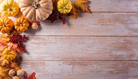 Autumn composition. Pumpkin, cotton flowers and autumn leaves on dark wooden background. Flat lay, top view with copy spaceの写真素材