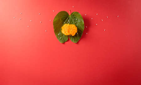 Happy Dussehra. Yellow flowers, green leaf and rice on red background. Dussehra Indian Festival concept.の写真素材