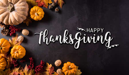 Thanksgivings and autumn composition. Pumpkin, cotton flowers and autumn leaves with the text on dark stone background.の写真素材