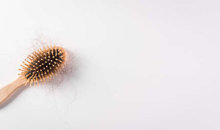 Healthcare problem concept. Hair loss or hair fall in comb on white background.の写真素材