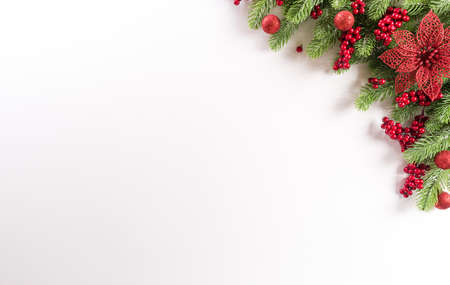 Christmas background concept. Top view of spruce branches, flower  and berries on white background.の写真素材