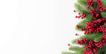 Christmas background concept. Top view of pine branches and red berries on white background.の写真素材
