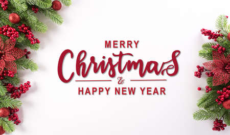 Christmas background concept. Top view of spruce branches, flower  and berries on white background.の写真素材