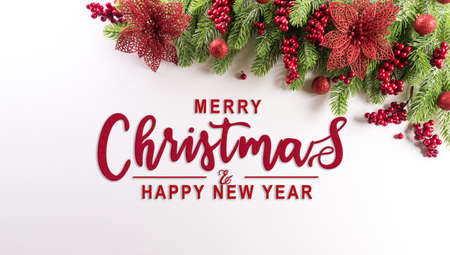 Christmas background concept. Top view of spruce branches, flower  and berries on white background.の写真素材