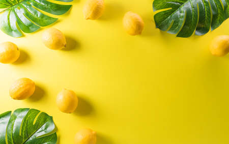 Summer composition made from lemon or lime, and monstera leaf on pastel yellow background. Fruit minimal concept. Flat lay, top view, copy space.の写真素材