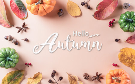Autumn background decor from dry leaves and pumpkin on pastel paper background. Flat lay, top view with copy space for Autumn, fall, Thanksgiving concept.の写真素材