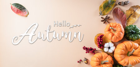 Autumn background decor from dry leaves and pumpkin on pastel paper background. Flat lay, top view with copy space for Autumn, fall, Thanksgiving concept.の写真素材