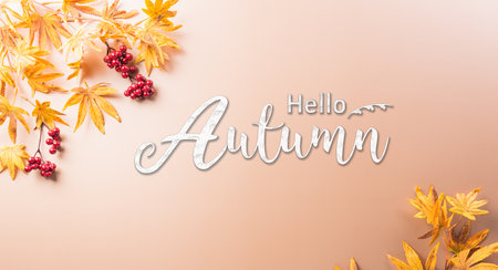 Autumn and thanksgiving decoration concept made from autumn leaves, berry and pumpkin on dark background. Flat lay, top view with copy space.の写真素材