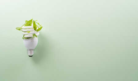 Green eco friendly concept made from light bulb and fresh leaves. Energy saving, ecology, earth day and environment sustainable resources conservation concept.の写真素材