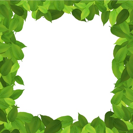 Leaf border isolated backgroundのイラスト素材