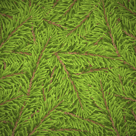 Christmas tree twig background for design. vector illustration.のイラスト素材