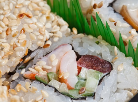 sushiの写真素材