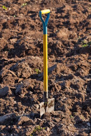 Shovel in the ground  vertical frameの写真素材