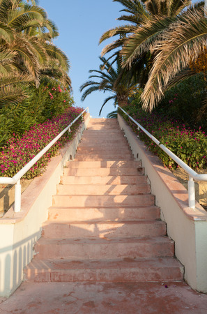 ladderの写真素材