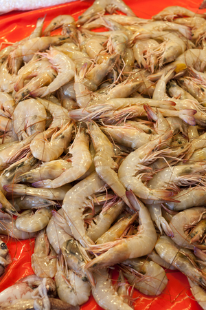 Fresh raw shrimp in marketの写真素材