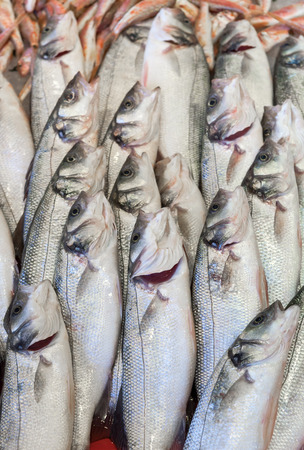 Fresh fish at fish marketの写真素材