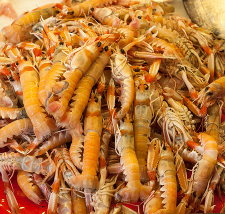 Fresh raw shrimp in marketの写真素材