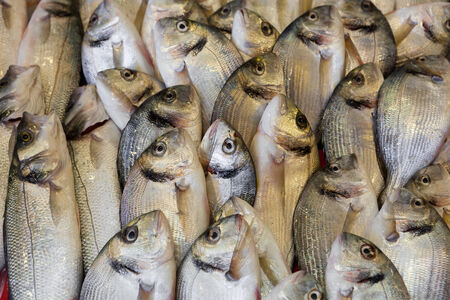 Fresh fish at fish marketの写真素材