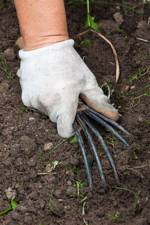The hand holding the gardening toolの写真素材