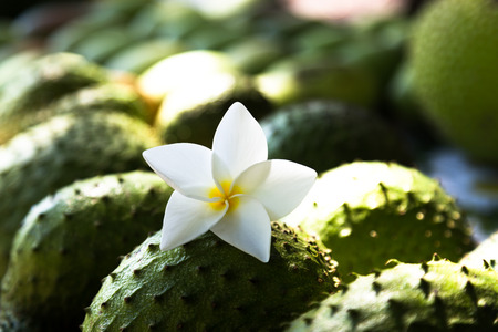 Market on Tahiti in French Polynesia