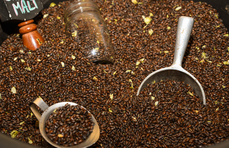 Barley in the breweryの写真素材