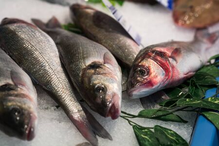 Freshly caught fish on sale at farmers market stallの写真素材