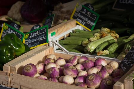 Fresh horse radish for sale at farmers marketの写真素材