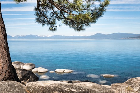 Lake Tahoe seen through tree branches on the shoreの写真素材