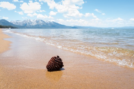 Cone on the sand beach of lake Tahoeの写真素材